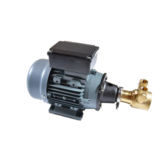 Trykpumpe 10 bar 230 volt motor