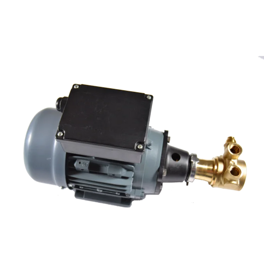 Trykpumpe 10 bar 230 volt motor