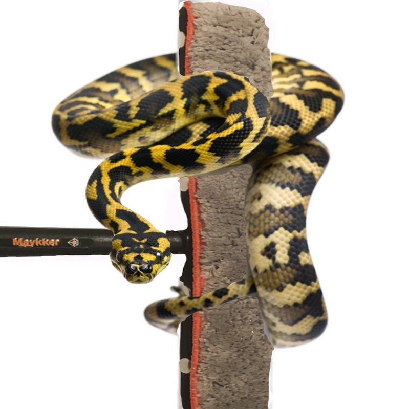 Maykker Pro Python overtræk