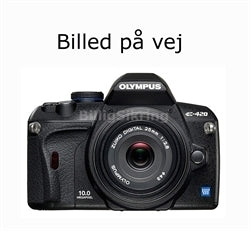 Glas Reperations Polish