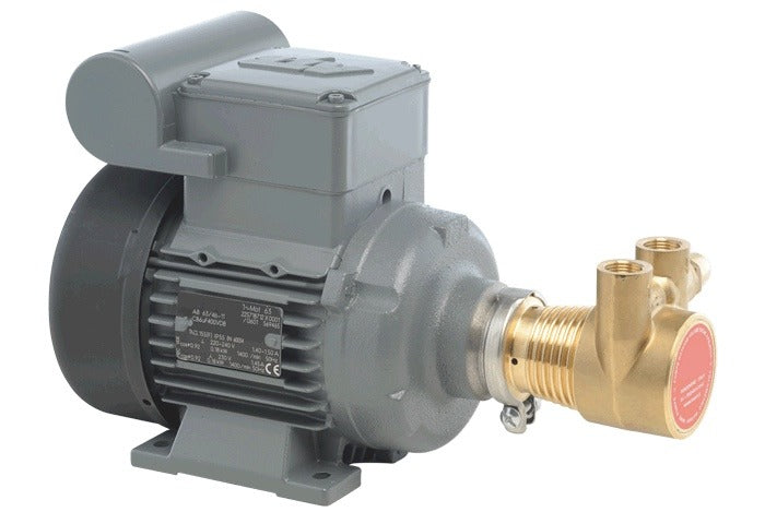 Vandpumpe med 220 volt motor