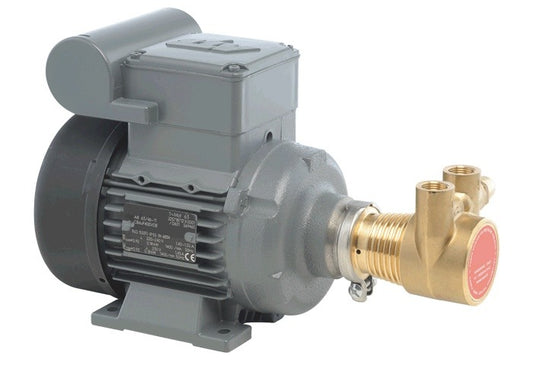 Vandpumpe med 220 volt motor